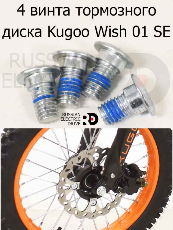 4 винта тормозного диска Kugoo Wish 01 SE (Куго Виш 01 ЭС Е)